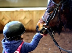 Child feeding a pony, photo by Sarah Jane King
