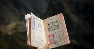 Travel abroad: Passport with visas